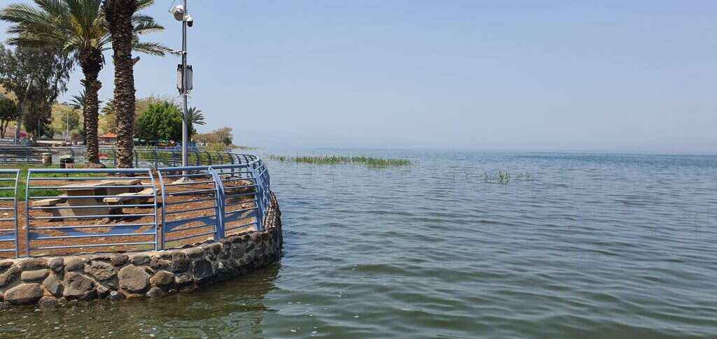 הכנרת סמוך לסכר דגניה בשיא גובה המפלס, סוף חורף 2020. | יאיר קראוס