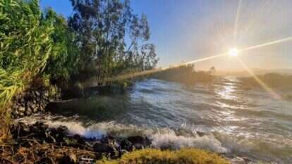 סכר דגניה, אפריל 2020. | יאיר קראוס