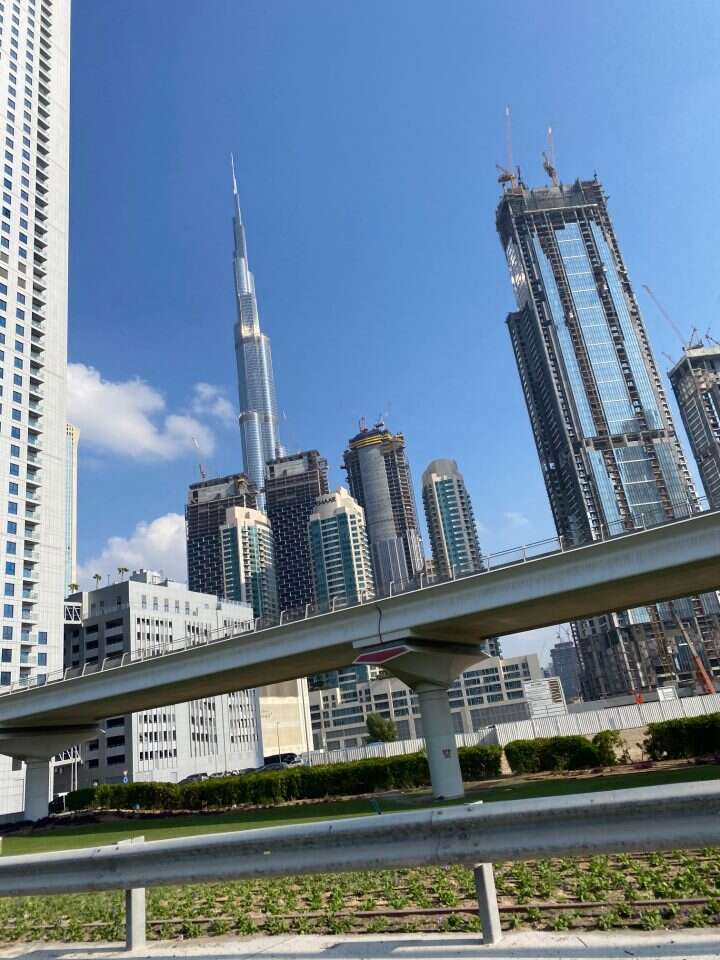 דובאי. | אריאל שנבל