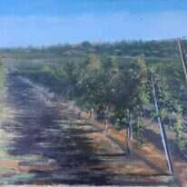 יהודה ארמוני, "כרם בלטרון", שמן על בד, 2017 . גלריה רוטשילד ת"א