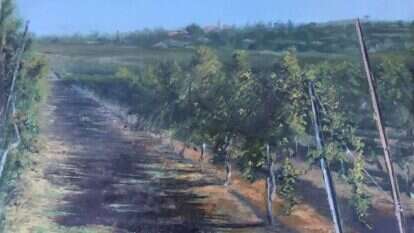 יהודה ארמוני, "כרם בלטרון", שמן על בד, 2017 . גלריה רוטשילד ת"א