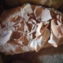 שברי עתיקות שנותרו במערה בהורקניה לאחר שנשדדה. | עמיחי נעם, בית ספר שדה כפר־עציון