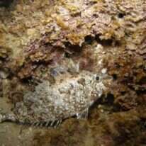 קרדיט: ארז ירוחם