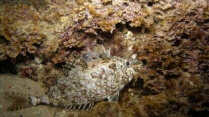 קרדיט: ארז ירוחם