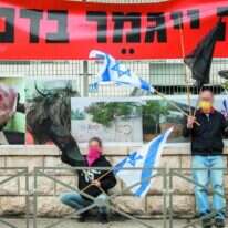 קל יותר לשנוא מלכאוב. | יונתן זינדל, פלאש 90