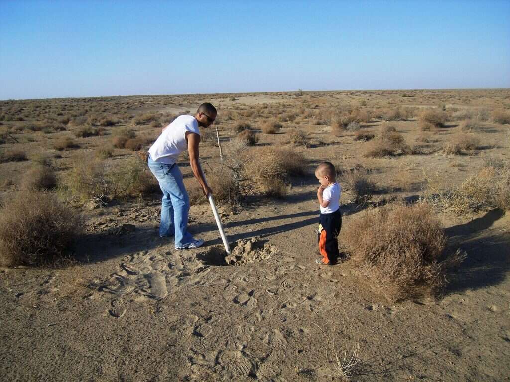 כוח עבודה זול. עם בעלה ובנה במחקר באוזבקיסטן