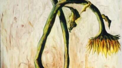 רפי פרץ, "חמניות", שמן על בד, 1996