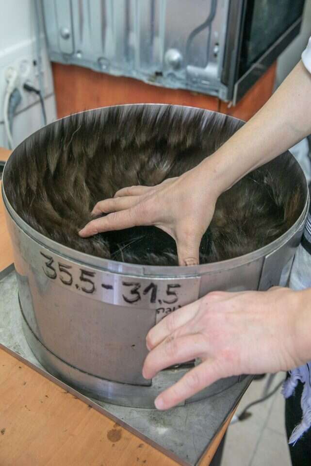 השטריימל מוכנס למעין סיר לקראת חימום בתנור והדבקת כל החלקים. | יוסי אלוני