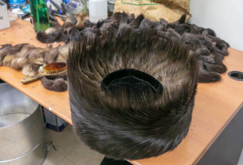 הזנבות תפורים ומסורקים היטב, גם ה"כיפה" כבר יושבת במרכז. | יוסי אלוני