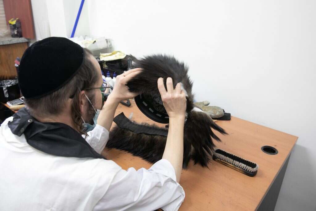 תפירת הזנבות וחיבורם זה לזה. | יוסי אלוני