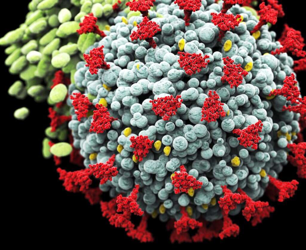 הדמיה של המוטציה הבריטית. | שאטרסטוק