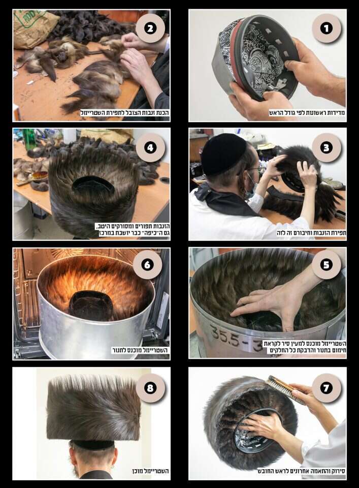 צילומים: יוסי אלוני