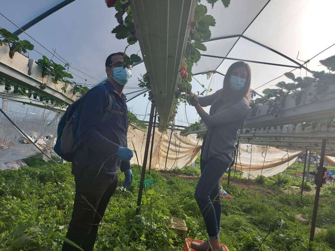 הזדמנות להיפגש. מתנדבים בחקלאות