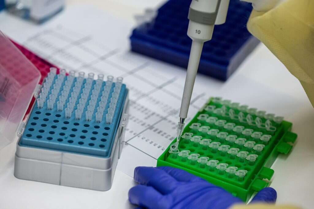 אבישג שאר-ישוב