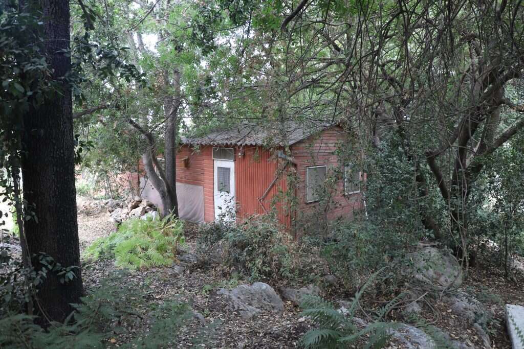 מזל שהפלמ"חניקית עברה דירה. הצריף האדום. | יעל (פרוינד) אברהם