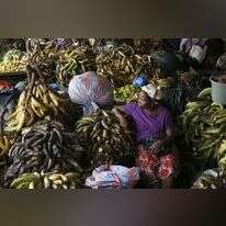 שוק פירות בחוף השנהב. | EPA