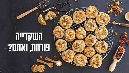 אפרת ליכטנשטט