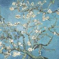 וינסנט ואן גוך, "פריחת השקד", שמן על בד, 1890. | גטי אימג'ס