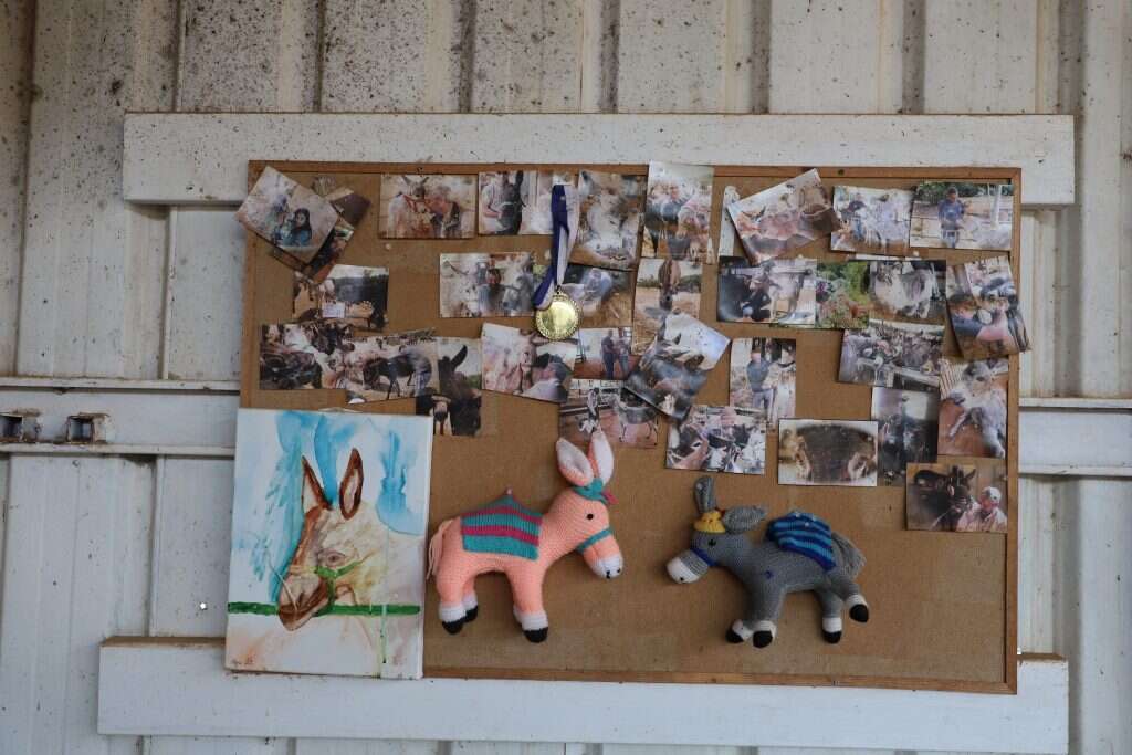 להסתכל וללמוד. לוח צילומים ועוד בבית המחסה. | יעל (פרוינד) אברהם