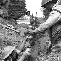 טדי בראונר, לע"מ