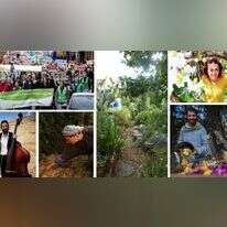 צילומים: אוליבייה פיטוסי - פלאש 90, באדיבות טליה שניידר, AFP, לולו דאקי