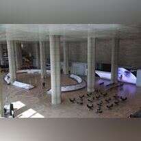 נתב"ג סגור. | EPA