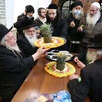 הקנסות צריכים להיות אינטרס של ההנהגה החרדית. חגיגת ט"ו בשבט נטולת מסכות במירון, שלשום. | דוד כהן, פלאש 90