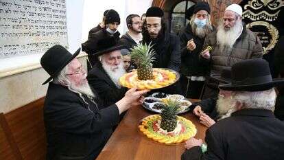 הקנסות צריכים להיות אינטרס של ההנהגה החרדית. חגיגת ט"ו בשבט נטולת מסכות במירון, שלשום. | דוד כהן, פלאש 90