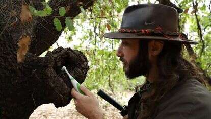 המברשת קוראת למשפכן. | יעל (פרוינד) אברהם