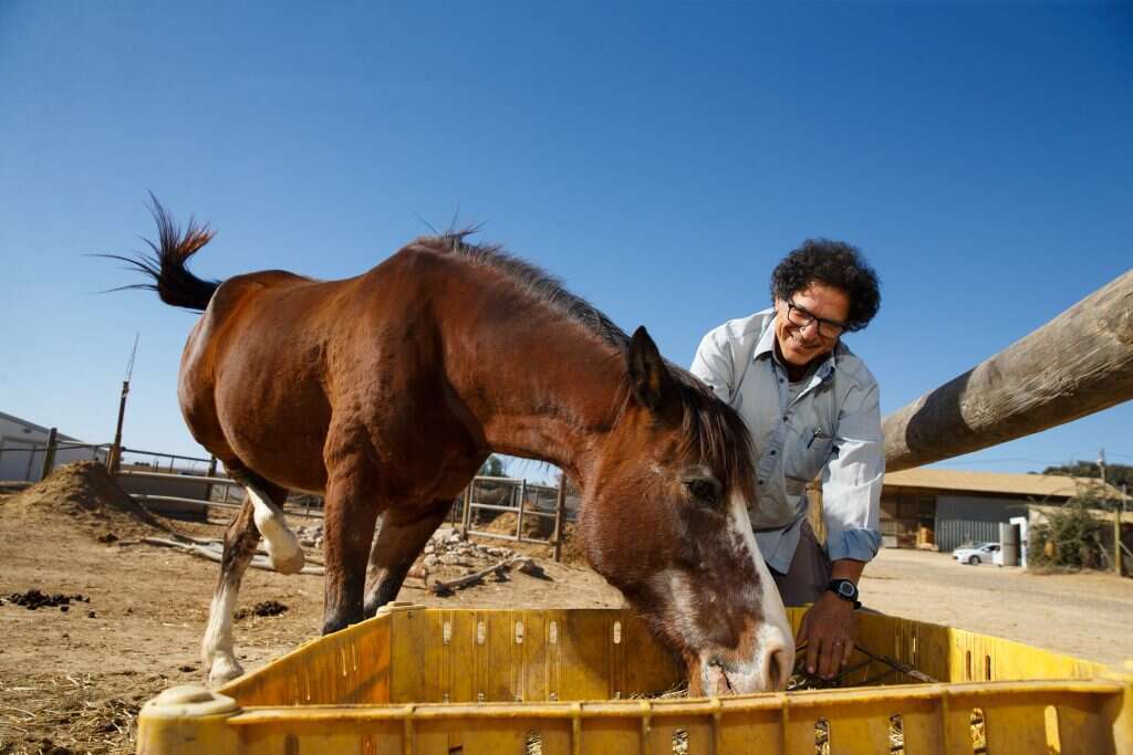 מזון דל שנלעס במשך שעות. בוסקילה ומתקן ההאכלה. | לירון מולדובן
