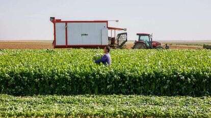 מפעל נייד. הקומביין הייחודי של יראון. | לירון מולדובן