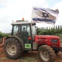 כרמי משק אחיה. | מרים צחי