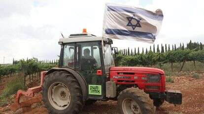 כרמי משק אחיה. | מרים צחי