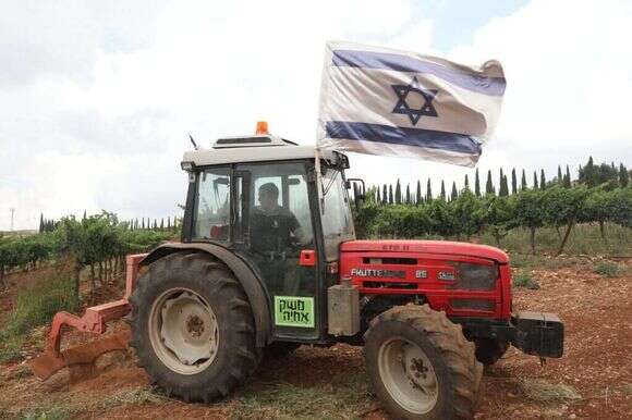 כרמי משק אחיה. | מרים צחי