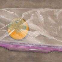 איור: שרון ארדיטי