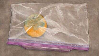 איור: שרון ארדיטי