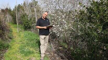 בכל סוף שבוע נזרק לציוץ אחר מהעבר. דן אלון. | יעל (פרוינד) אברהם