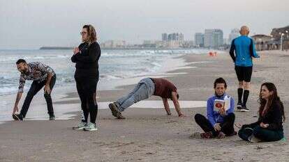 אבישג שאר-ישוב