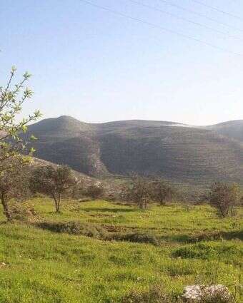 השומרון. אילוסטרציה. | מרים צחי