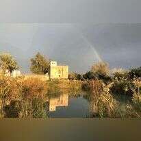 עין אפק. | אורי ארליך