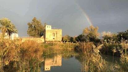 עין אפק. | אורי ארליך