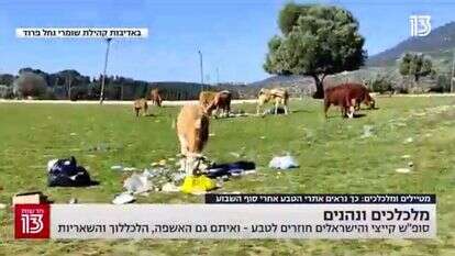 מסך מתוך חמש עם שרון גל, חדשות 13