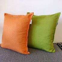 סביונית לבית ולגן