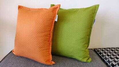 סביונית לבית ולגן