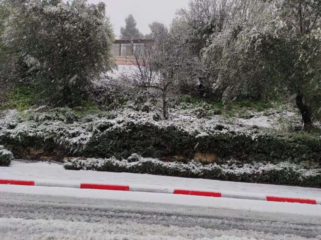 השלג צפת. | נעם בן-הרוש השלג צפת. | נעם בן-הרוש