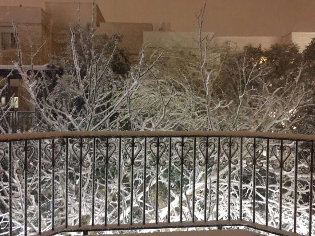 שלג באלון שבות. | י. הפשטיין