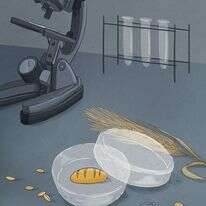 איור: נעמה להב איור: נעמה להב