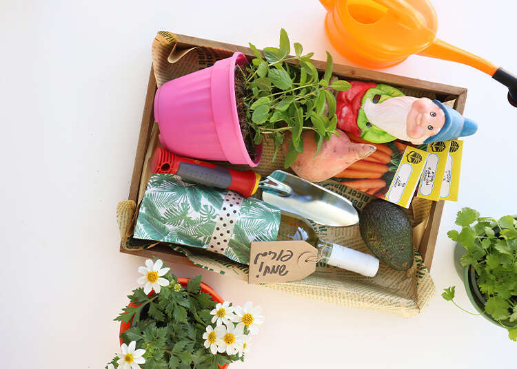 ערכת משתלה. | אפרת ליכטנשטט