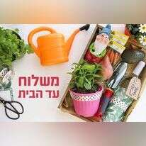 אפרת ליכטנשטט