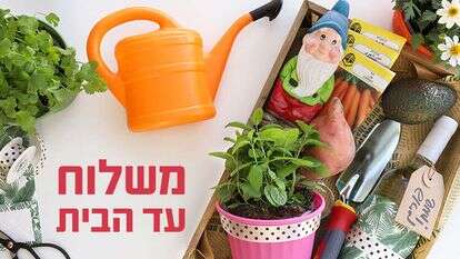 אפרת ליכטנשטט